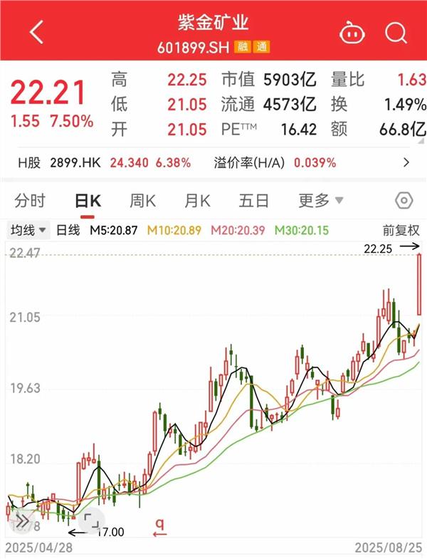 消息！融资客净买入的概念股出炉AG真人登录入口脑机接口产业大(图4)